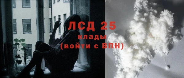 эйфоретик Карпинск