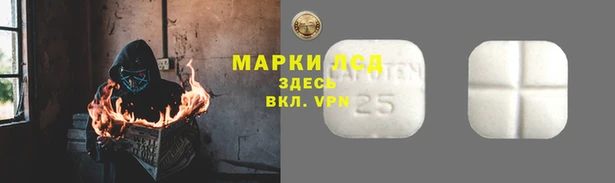 эйфоретик Карпинск