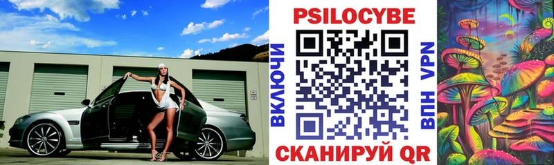 Купить где  Георгиевск  Псилоцибиновые грибы мицелий 